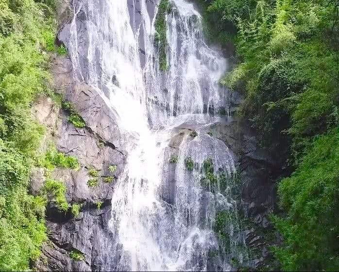 模拟农场17